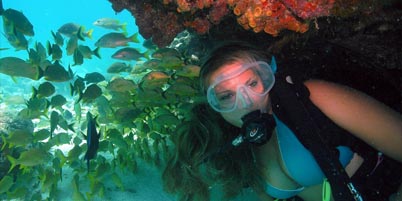 Meet mermaid Toni Hyde – the Florida Keys’ newest scuba diving attraction