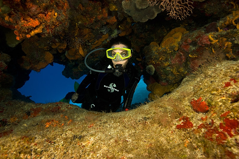 A Diver’s Guide to Surviving the “Off Season”