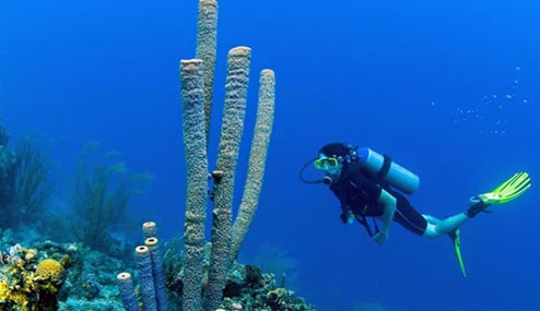 Scuba diving popular in Curacao