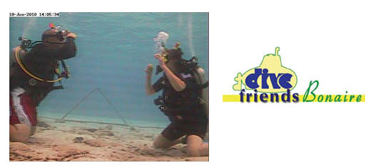 DiveFriendsWebCam