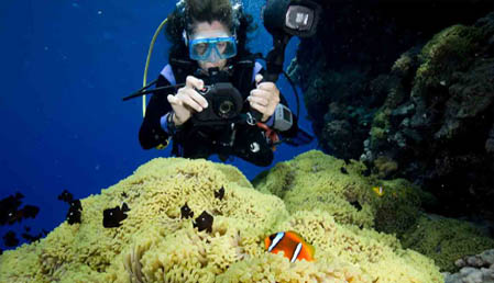 Diving photographer