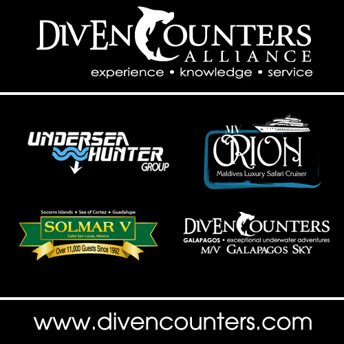 DivEncounters Alliance unveiled: Live-aboard scuba diving travelers to benefit