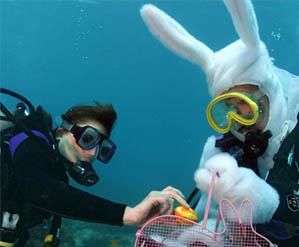 Easter Bunny scuba dive