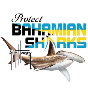 Guy Harvey leads campaign to protect Bahamian Shark population