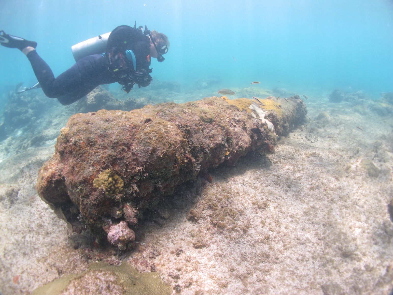 Capt. Kidd pirate shipwreck site to be dedicated Living Museum of the Sea
