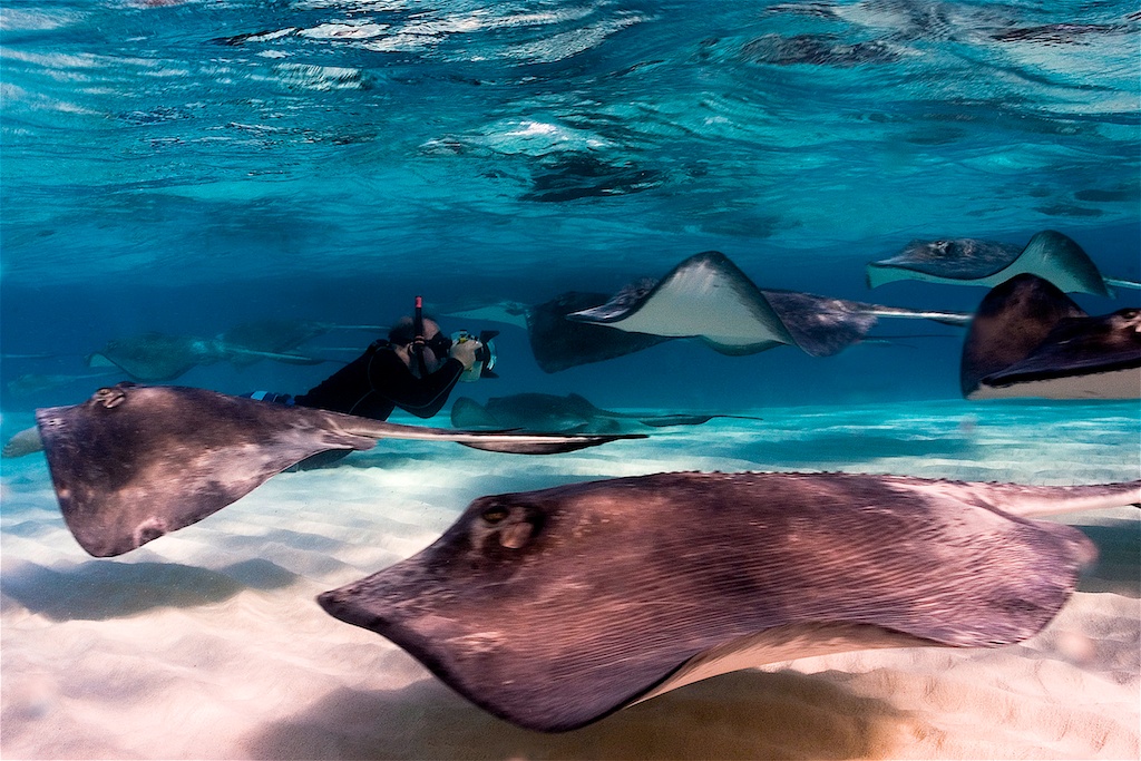 Cayman Marine Park