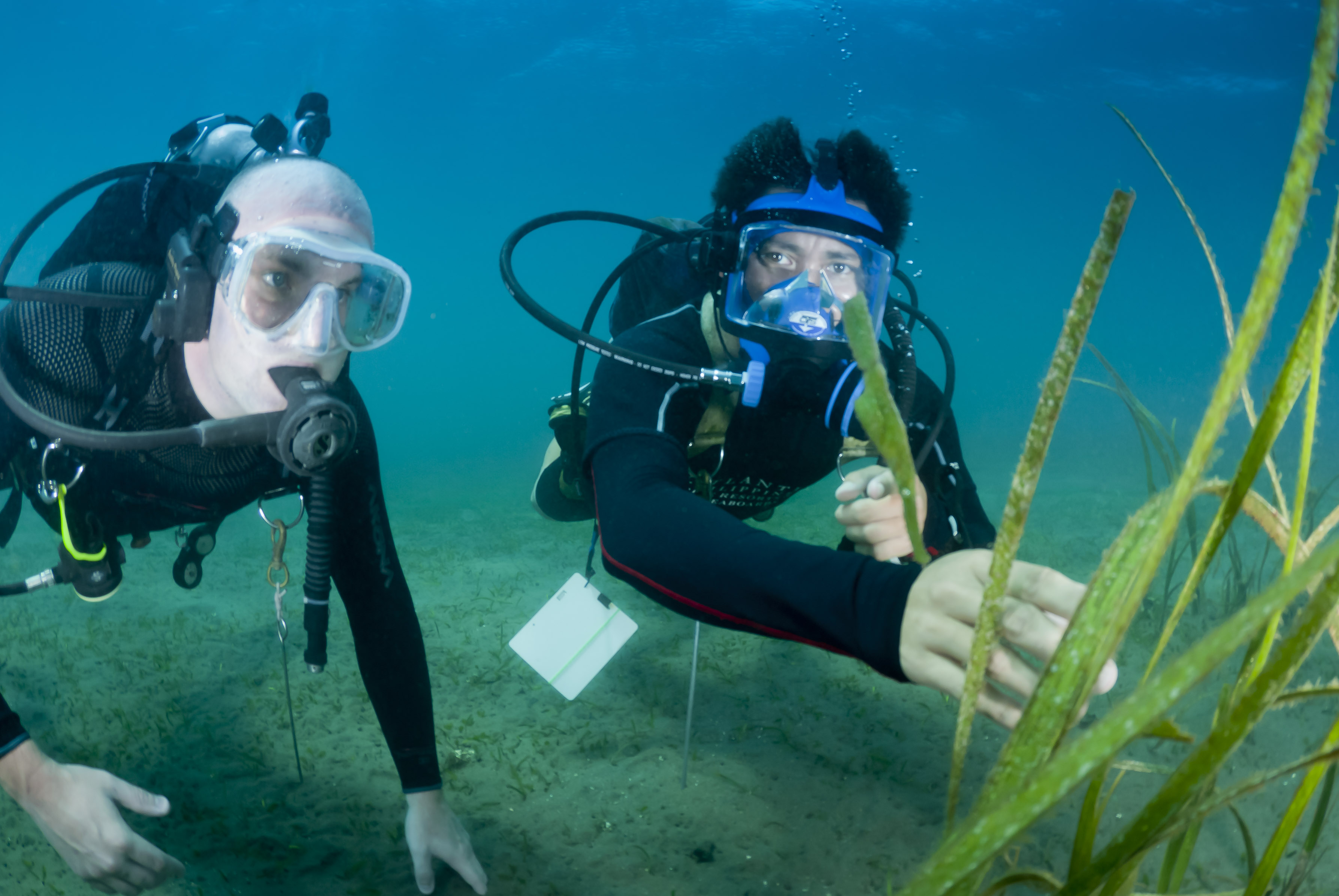 TRULY interactive underwater training in the Philippines