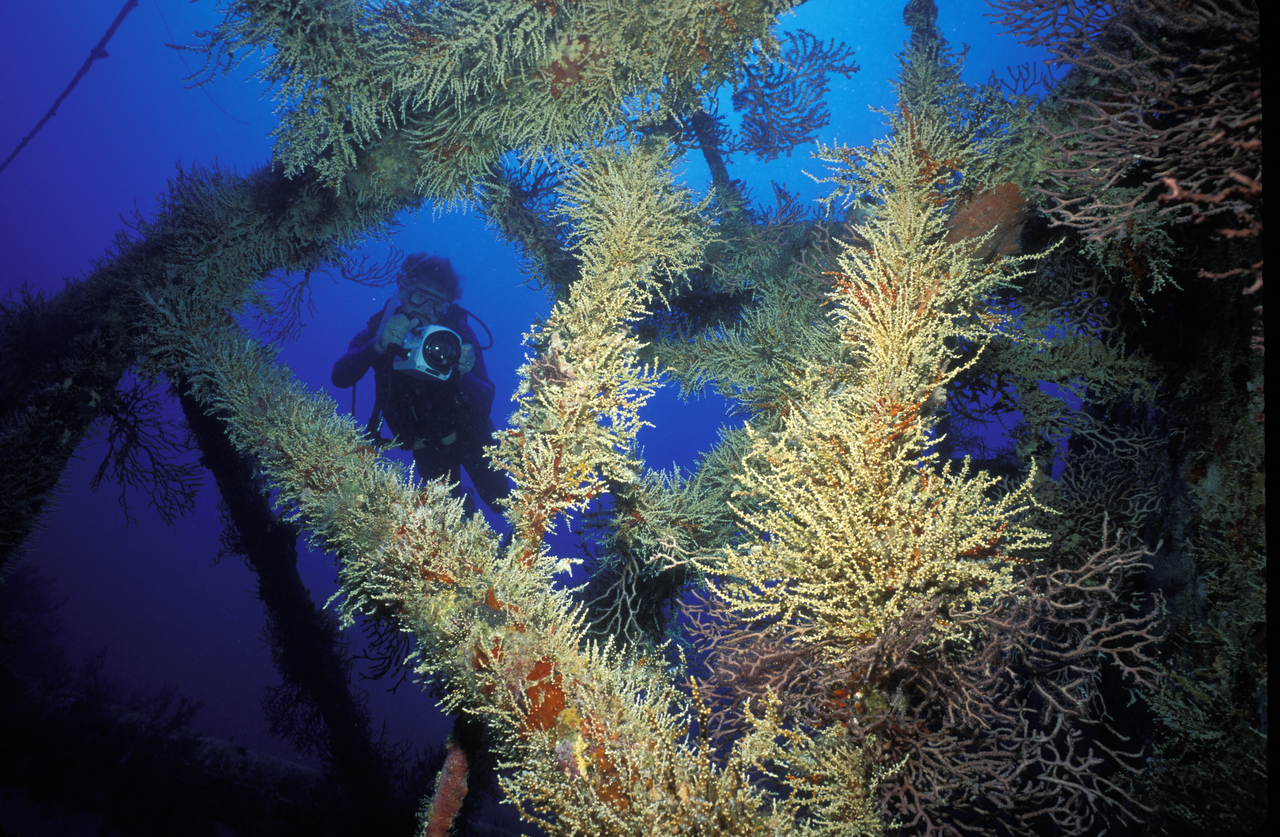 Keys Wreck trail