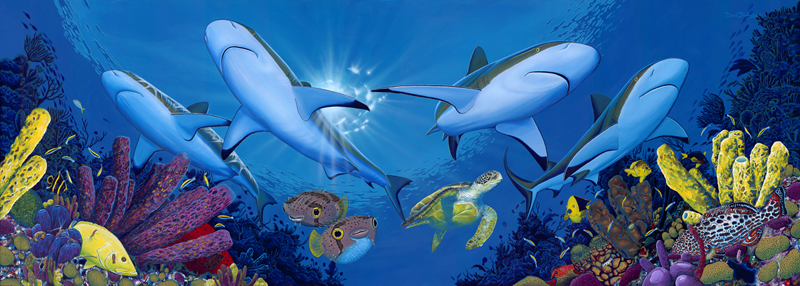 David Dunleavy scuba diving sharks