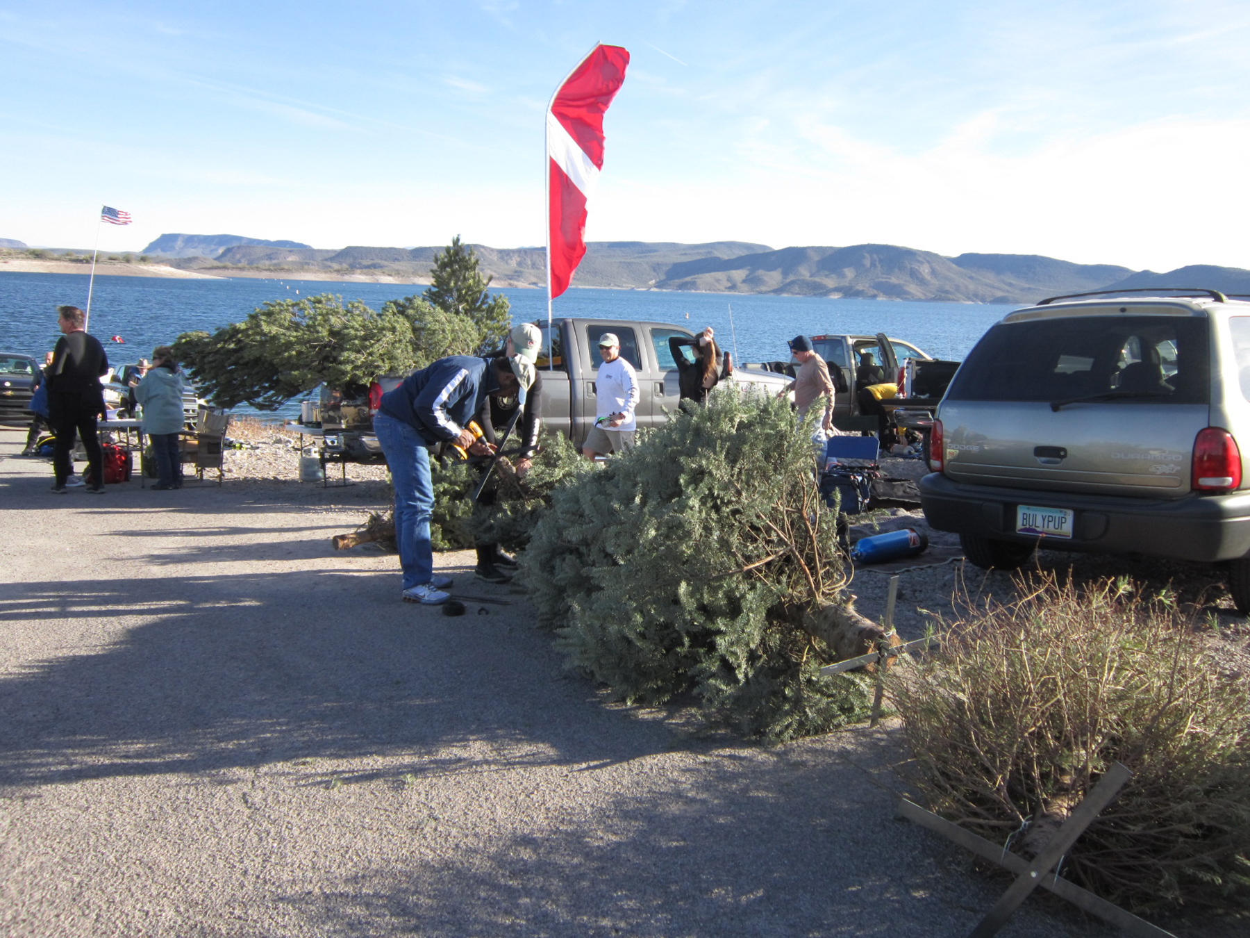 IWD_xmas tree_3