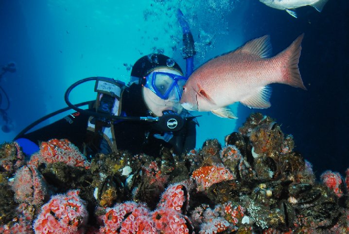 S. California Scuba Divers planning for Chamber Day 2012 in May