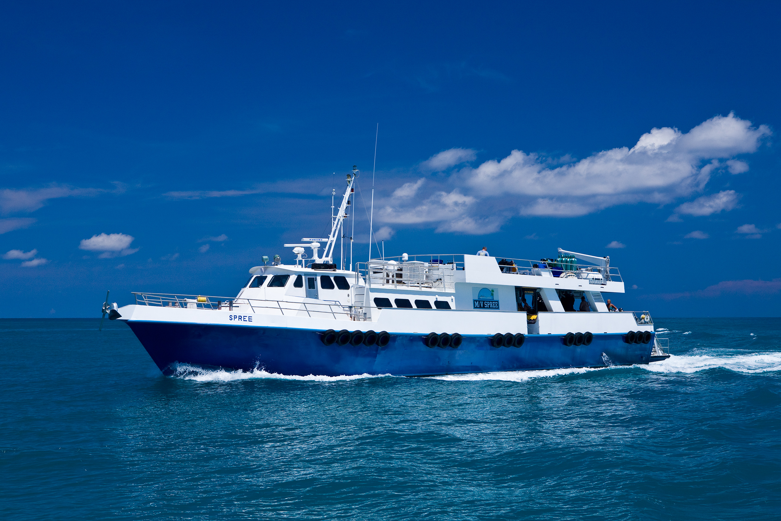 MV Spree live-aboard