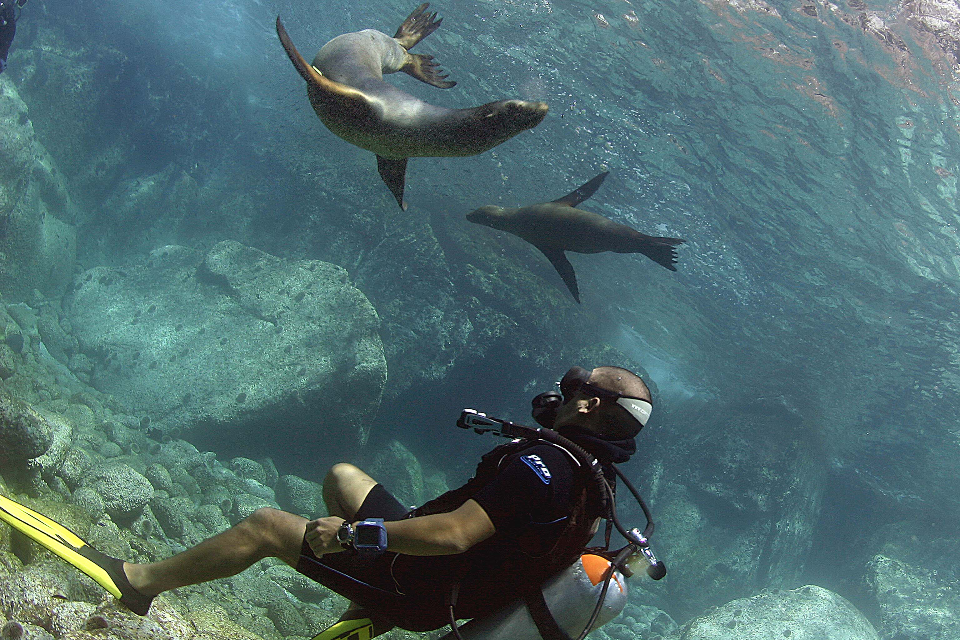 Solmar V Scuba Nature Cruise taking applications for unique Sea of Cortez voyage