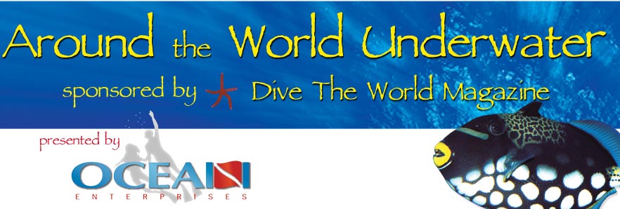 Ocean Enterprises to Present UW Travel Symposium May 3 at Scripps Aquarium