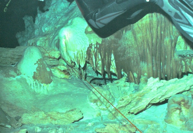 DiverWire Destination: Diving the Cenotes of the Riviera Maya