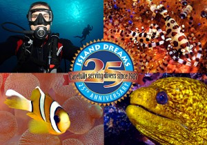 Win Diving and Lodging in Cozumel as Island Dreams celebrates 25 years