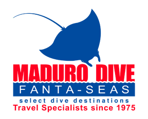 Maduro Dive Fanta-Seas unveils new blog – Blog.MaduroDive.com
