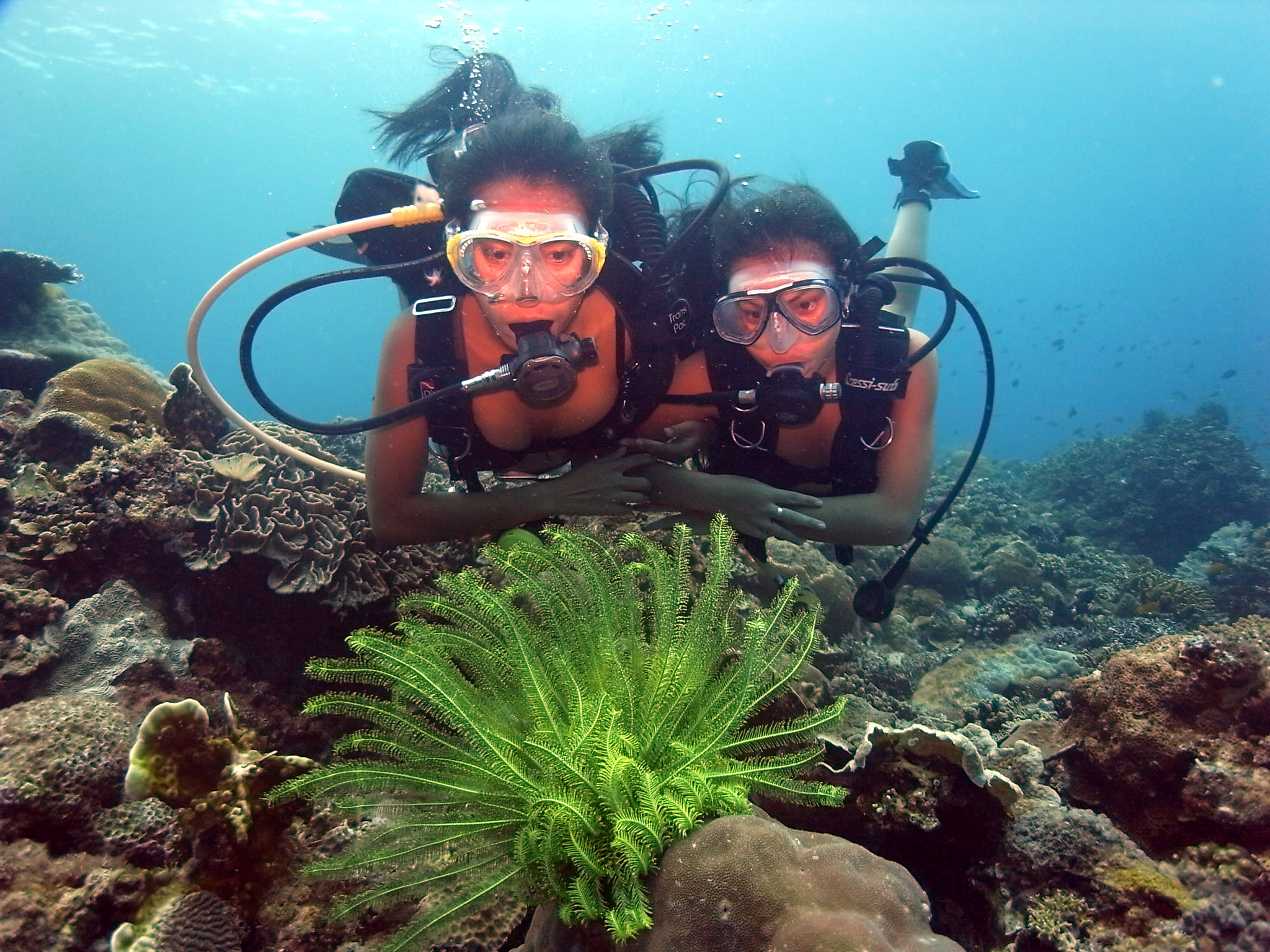 DiverWire Destination: Atlantis Found! The Philippines deliver a true diver’s paradise