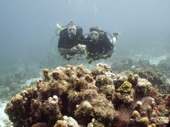 Dive Bus on Curacao offers FREE PADI Peak Performance Buoyancy courses