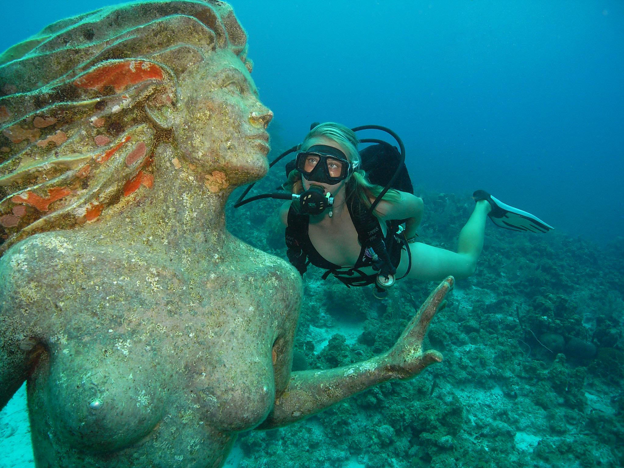 Cayman Islands to sponsor international UW Photo competition