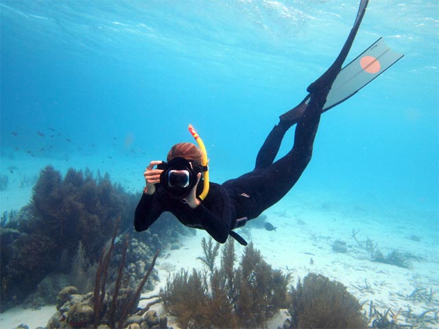 Don’t scare the fish – A NEW approach to UW photography