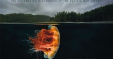 Beneath Cold Seas Book