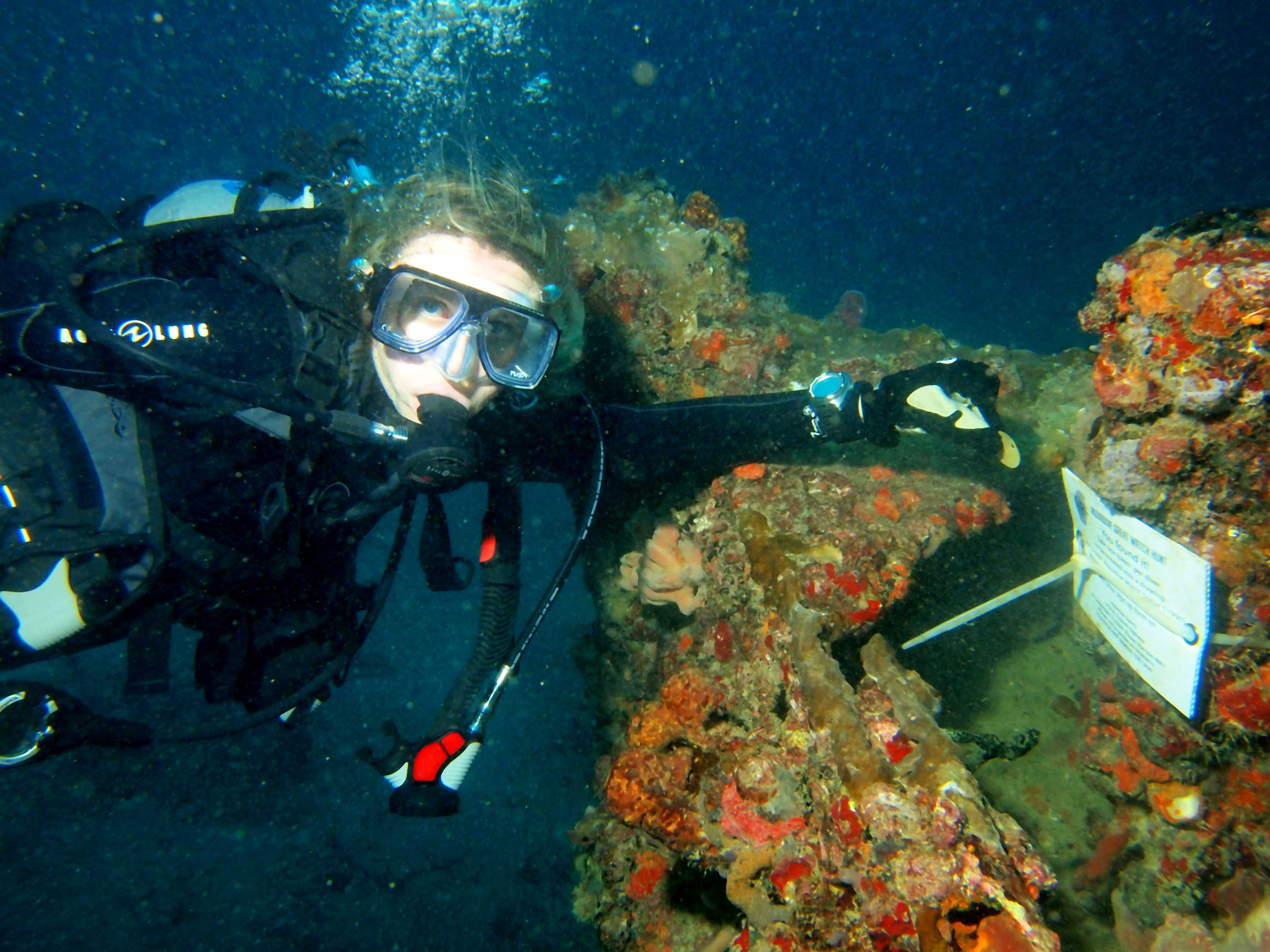 Florida divers using DiveCaching techniques to hunt for Aquadive Watch