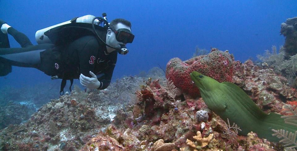 Single Divers Wanted: Sunset House waives single supplement on select Cayman packages
