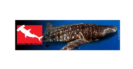 Dive business owners and scuba professionals join campaign to restrict international trade on endangered shark and ray species