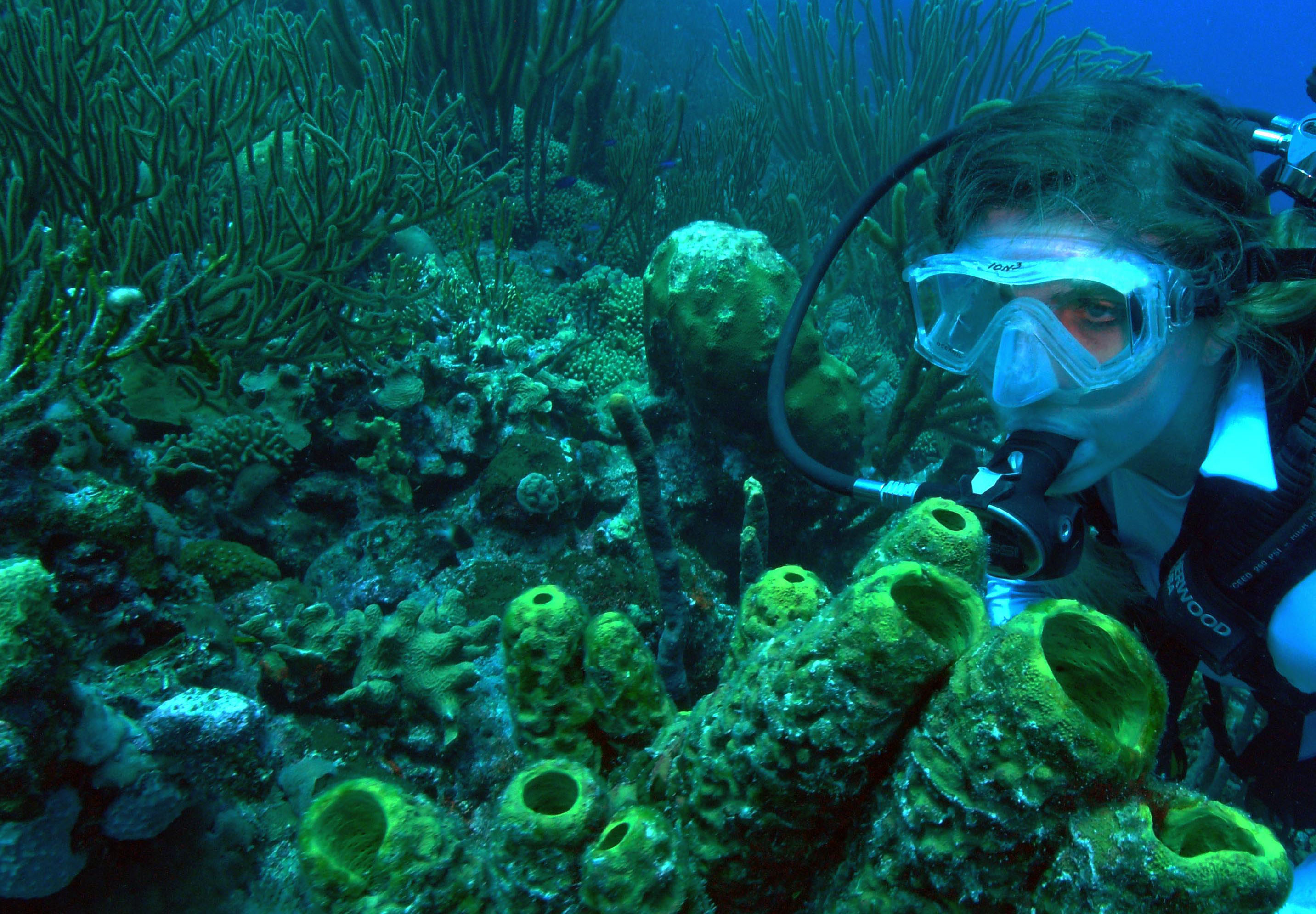 Paradise Rebates.com offers special BONUS to Bonaire travelers