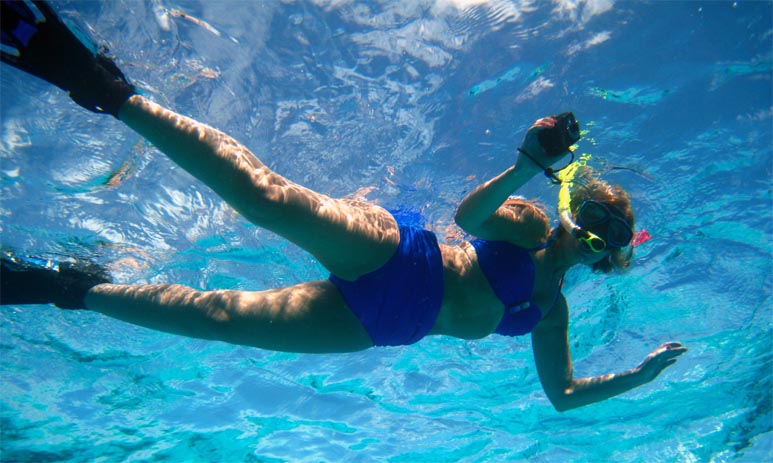 The “Snorkeler’s Guide” to awesome aquatics experiences in Bonaire