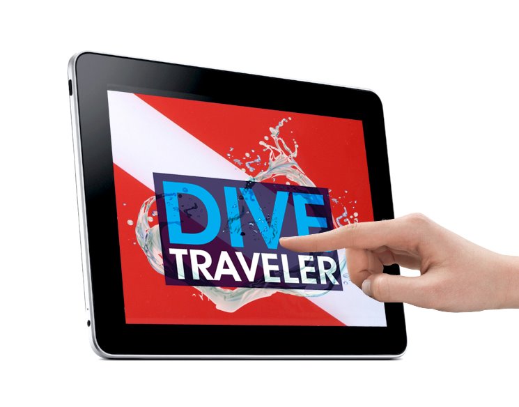 Dive Traveler App Teams Up with Scuba Schools International