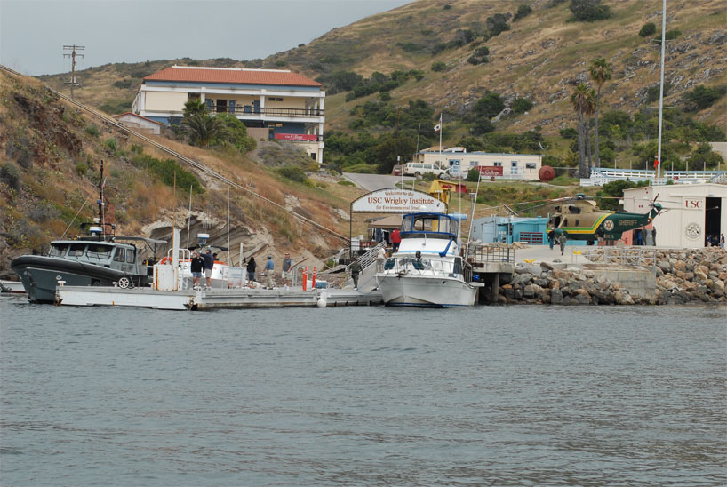 Events for 25th Anniversary of Catalina Chamber Day Announced