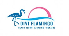Divi Logo DW