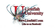 Lionfish U