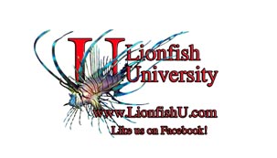 New Lionfish Video released – Take a Lionfish to Lunch AND EAT IT!