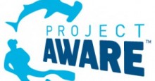 CITES meeting results in 5 shark added to protected list