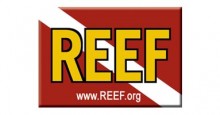 REEF Logo DW