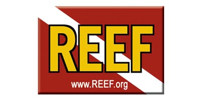 Reef Environmental Education Foundation (REEF) celebrates 23 years of marine conservation and research