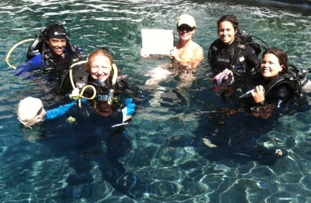 Becoming a Better Diver: Tips from a seasoned dive pro