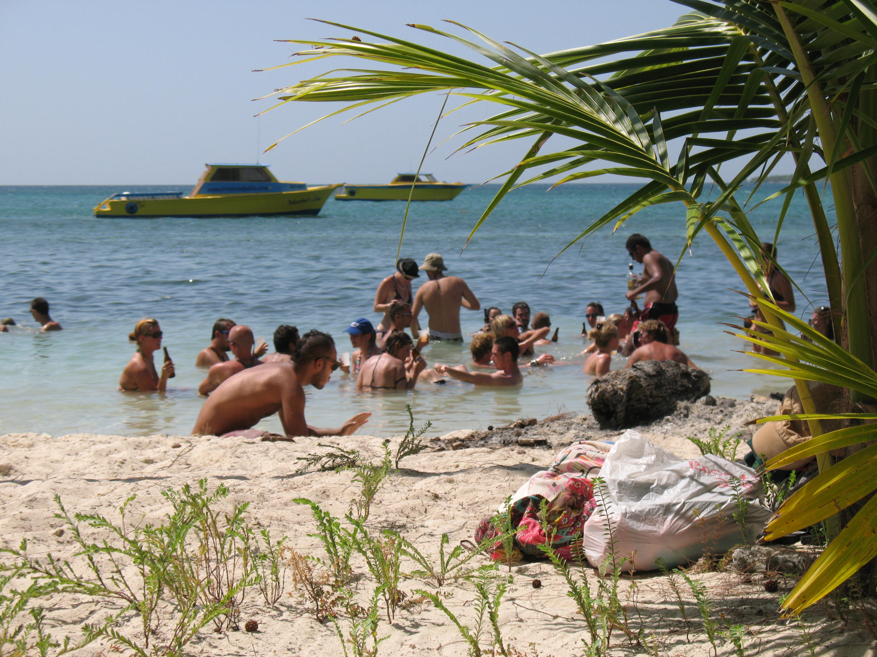 Scuba Cowboy, Rogest join Utila Dive Festival Lineup