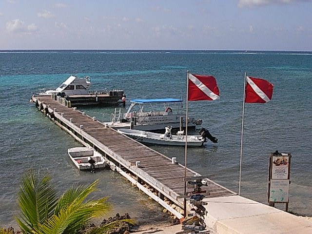 Dive industry stresses proper use of dive flags