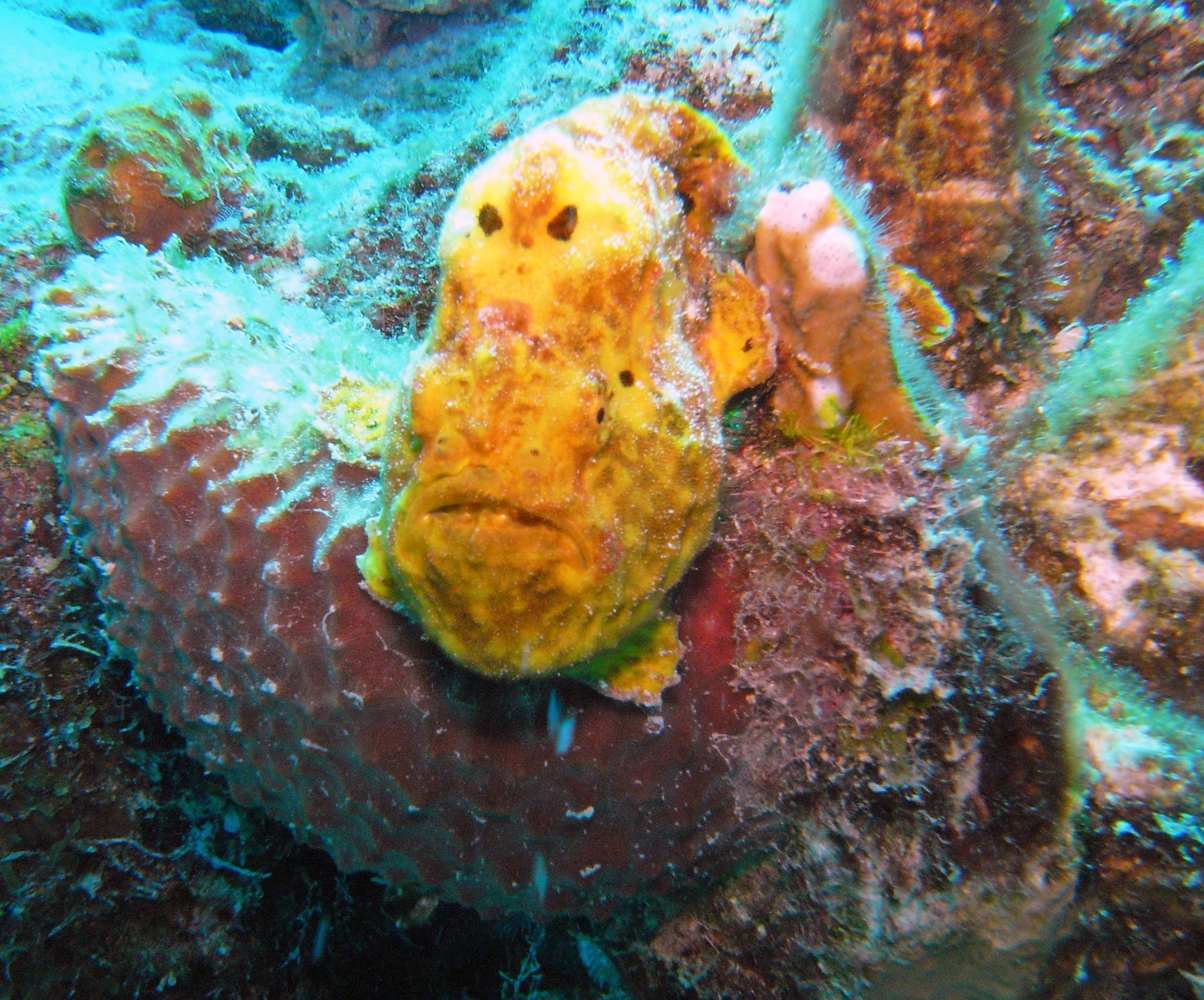 Test Your Knowledge of Bonaire in InfoBonaire.com Challenge #4