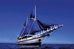Win a 10-Night Trip to Truk Lagoon with the Siren Fleet