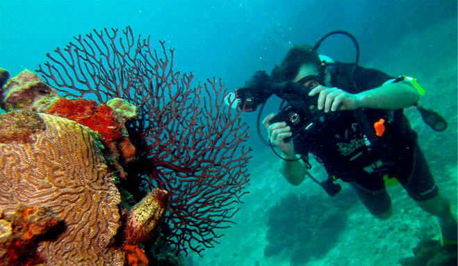 Phoenix-based Academy of Scuba announces new UW Photo Club