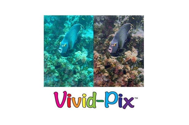 Vivid-Pix Provides Simple Solution for Amazing Underwater Photos