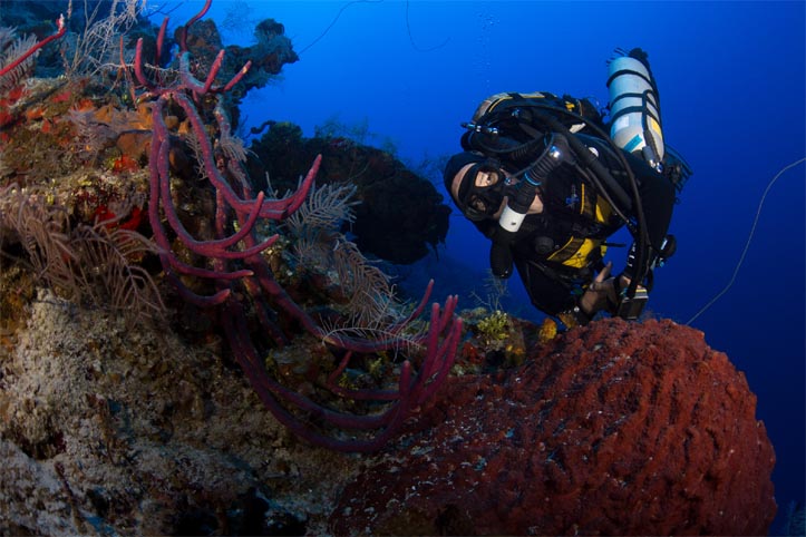 Innerspace 2013 celebrates the world of rebreathers on Grand Cayman