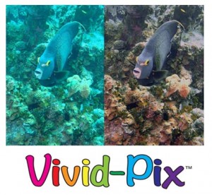 Vivid-Pix Carries Strong Momentum into Long Beach SCUBA Show this weekend