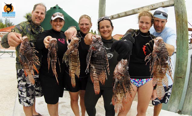 JM Lionfish 1