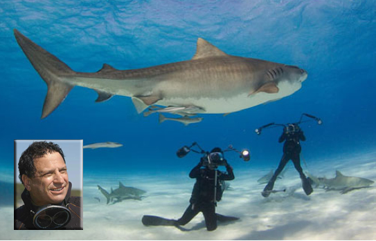 World Renowned National Geographic Photographer to Judge Bimini Shark Showdown